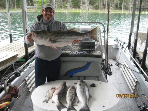 Nice Striped Bass